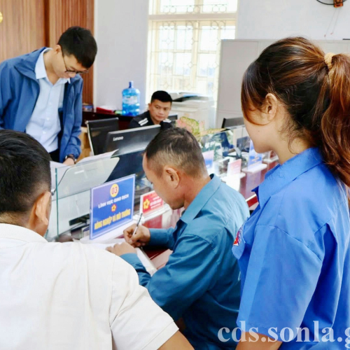 Tuổi Trẻ Thúc Đẩy Phong Trào Bình Dân Học Vụ Số